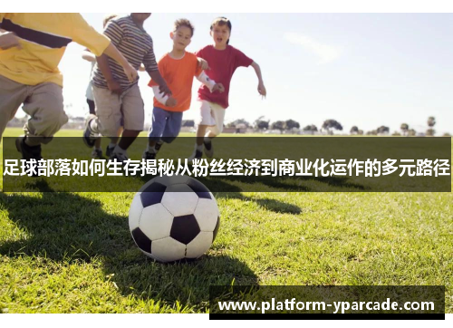 足球部落如何生存揭秘从粉丝经济到商业化运作的多元路径 足球部落如何生存揭秘从粉丝经济到商业化运作的多元路径